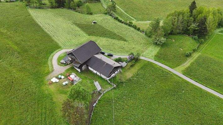 Hof_Antholz_Wald_Alpenwiese_ruhig_Natur_Dolomiten_Südtirol
