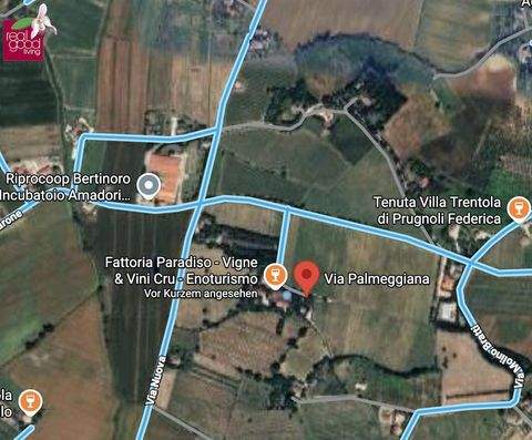 Bertinoro Gastronomie, Pacht, Gaststätten