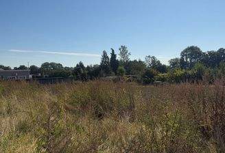 IMG_6039.jpeg