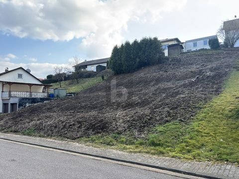 Beckingen Grundstücke, Beckingen Grundstück kaufen