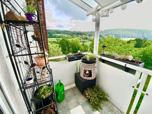 Panoramablick vom Balkon DG 