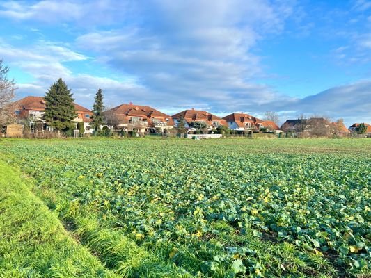 Traumhafte Lage am Feld