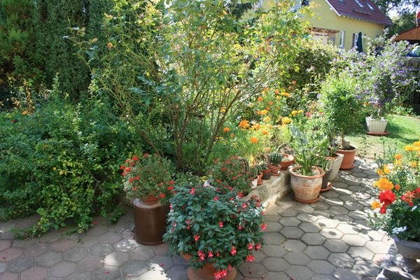 Garten VII.jpg