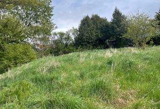 Grundstück Waltersleben