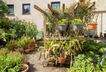 Garten 2