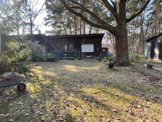 Frontansicht Bungalow