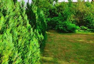 1 Grundstück Südblick