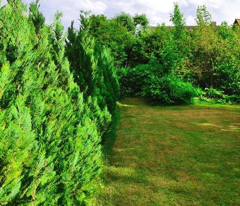 Berlin Grundstücke, Berlin Grundstück kaufen