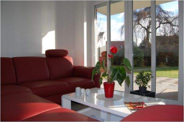 Sehen Sie gerne aus dem Fenster ... 