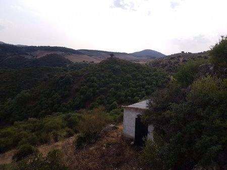 PHOTO-2018-07-07-12-23-04-1