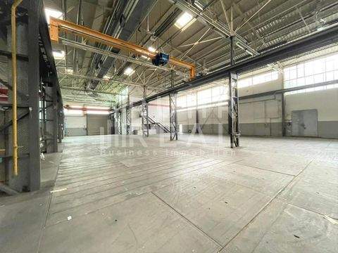 Viersen Halle, Viersen Hallenfläche