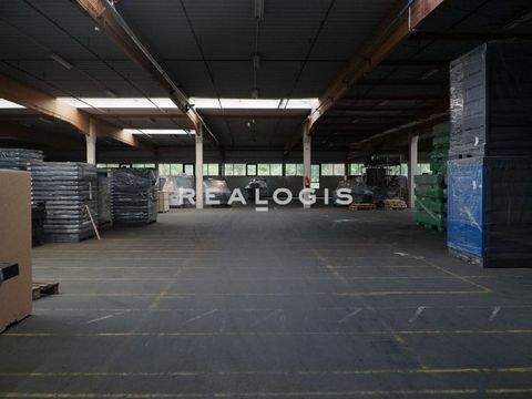 Bad Oeynhausen Halle, Bad Oeynhausen Hallenfläche