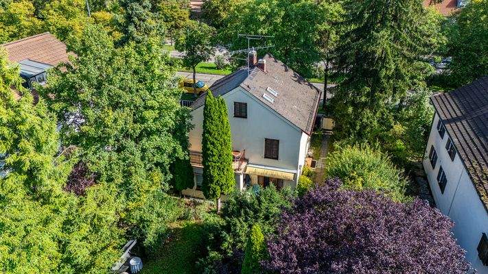 Drohnenaufnahme Altbestand