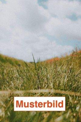 Beispielbild GRD 2.jpg