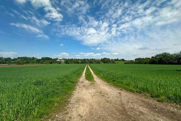 Zuweg zum Grundstück!