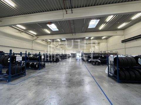 Düsseldorf Halle, Düsseldorf Hallenfläche