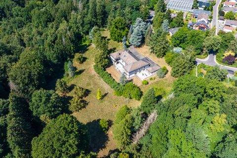 Stadtallendorf Häuser, Stadtallendorf Haus kaufen