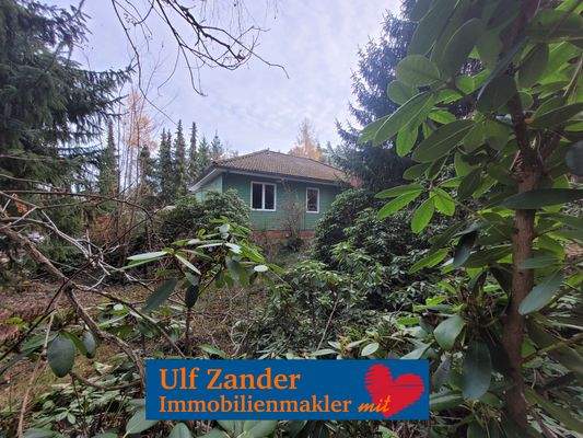 saniertes Holzhaus mit 2.029 m² Grundstück