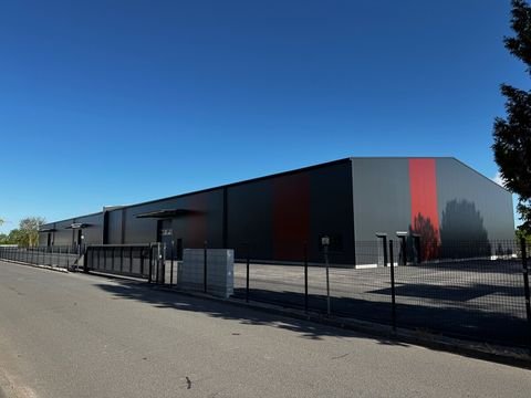 Kölleda Halle, Kölleda Hallenfläche
