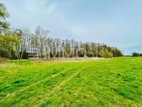 Kloster Lehnin Grundstücke, Kloster Lehnin Grundstück kaufen