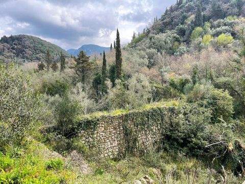 Korfu Bauernhöfe, Landwirtschaft, Korfu Forstwirtschaft