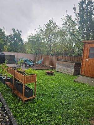 Blick in den Gemeinschaftsgarten 