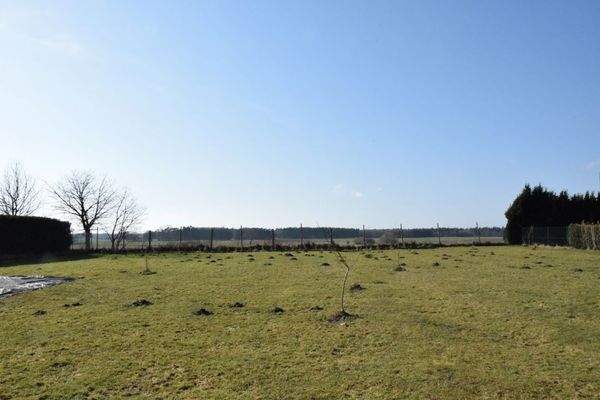 A144_Haus_Dettmannsdorf5