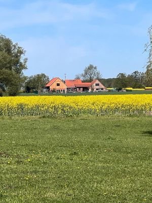 Blick auf den Hof