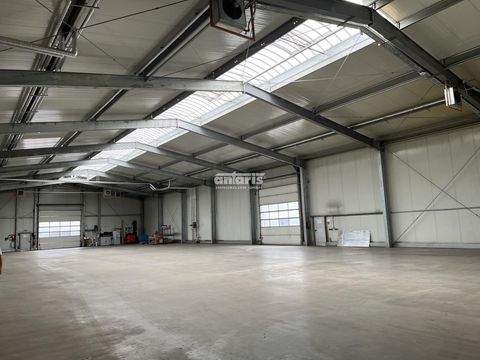 Ilmenau OT Gehren Halle, Ilmenau OT Gehren Hallenfläche