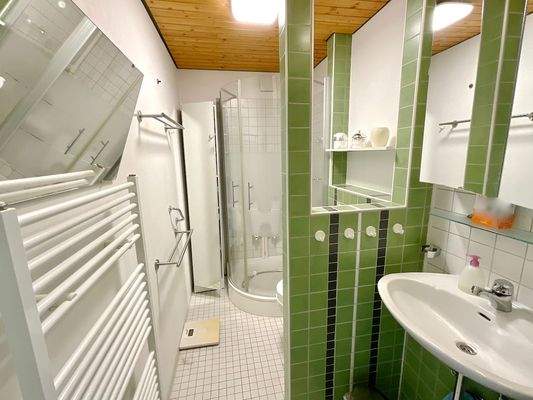 Duschbad (ohne Fenster)