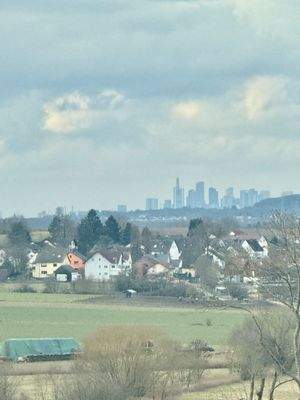 Skyline- und Taunus-Blick von der Dachterrasse