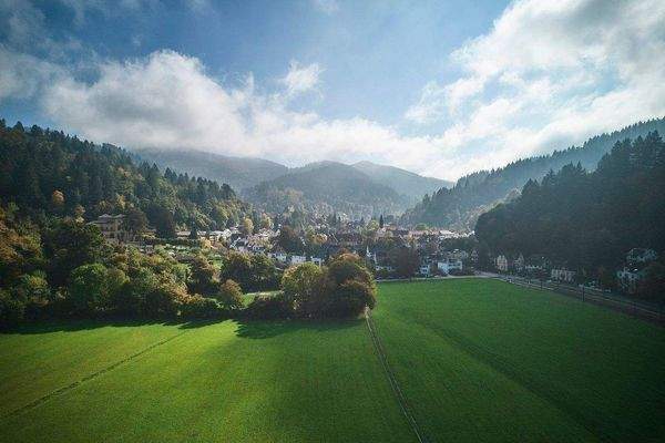 Wiehre-Günterstal: Für 4 sich einige Käufer, 4 Grü