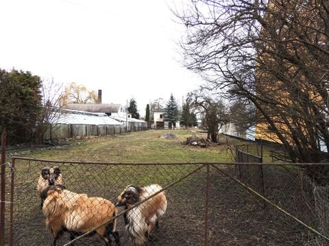 Aken (Elbe) Grundstücke, Aken (Elbe) Grundstück kaufen