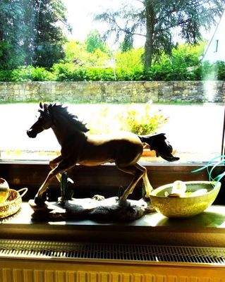 Ein Herz für Pferde