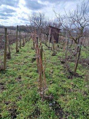 20240226_122618 (1).jpg