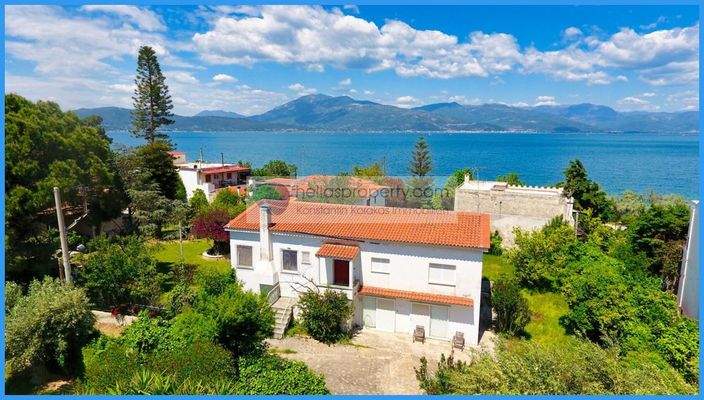 38803d6893874002a8e1370dc843ba32-original