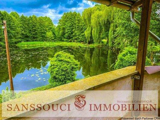 Ausblick auf den Teich