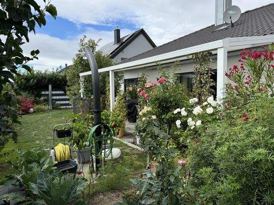 Blick in den Garten