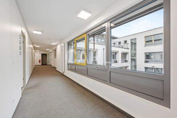 Weinstraße_20260221_31