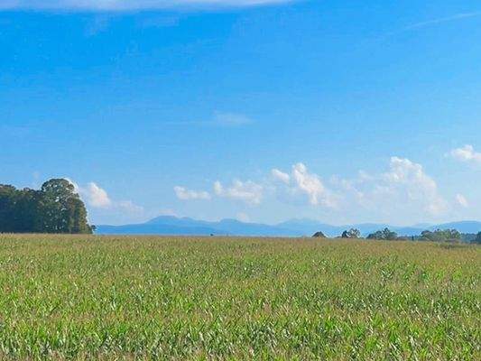 Ausblicke übers Jahr