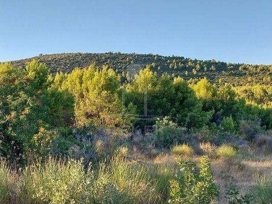  Weitab von der Hektik – Idylle auf 21.000 m²