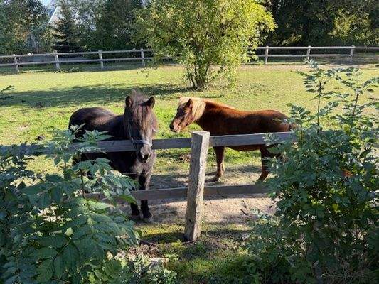 Blick aus der Haustür