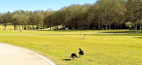 München Wohnungen, München Wohnung kaufen