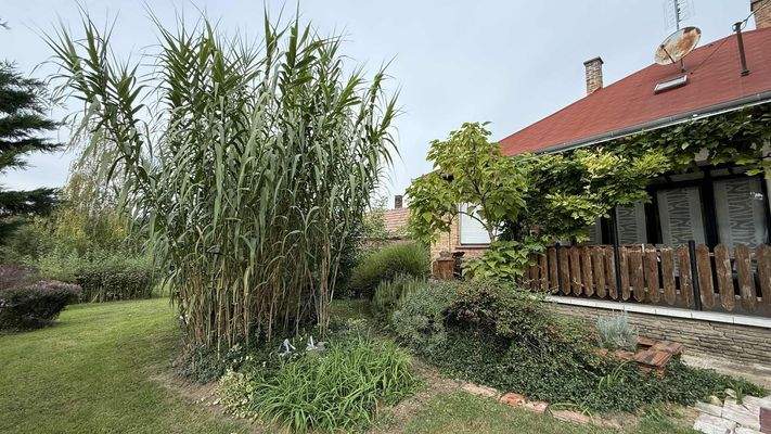 att.SUasXsyiFFLff59UUvxbaHnMZebSrUXI__B-I8S9z7I.JP