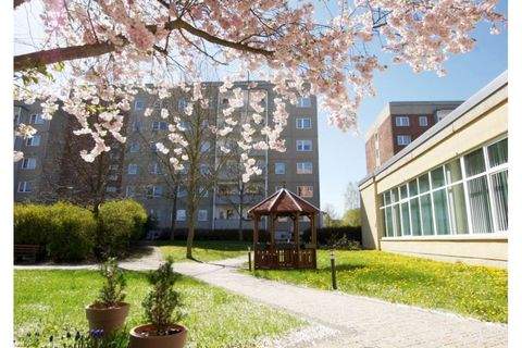 Plauen Wohnungen, Plauen Wohnung mieten