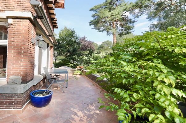 WE01: Terrassenfläche