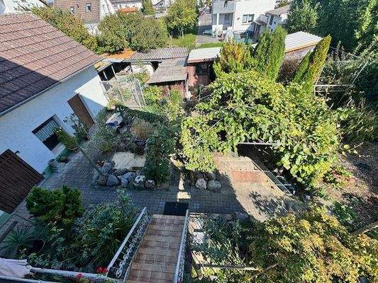 Blick in den Garten + Volairen