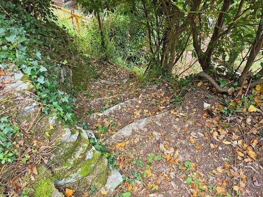 1000083925 - 1K JPEG.jpg