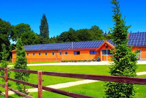 Neuenkirchen-Vörden Bauernhöfe, Landwirtschaft, Neuenkirchen-Vörden Forstwirtschaft