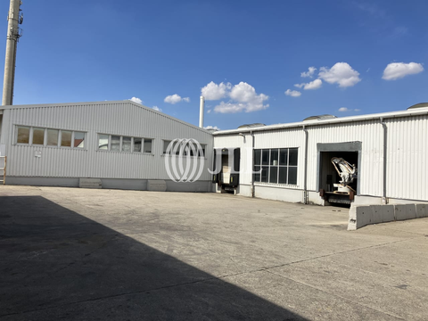 Halberstadt Halle, Halberstadt Hallenfläche